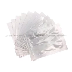 Tê miếng không hình (Môi)